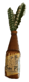 cervezas-artesanas-kaktus-sp